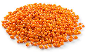القضيم هو نبات سوداني