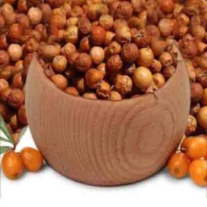 نبق سوداني